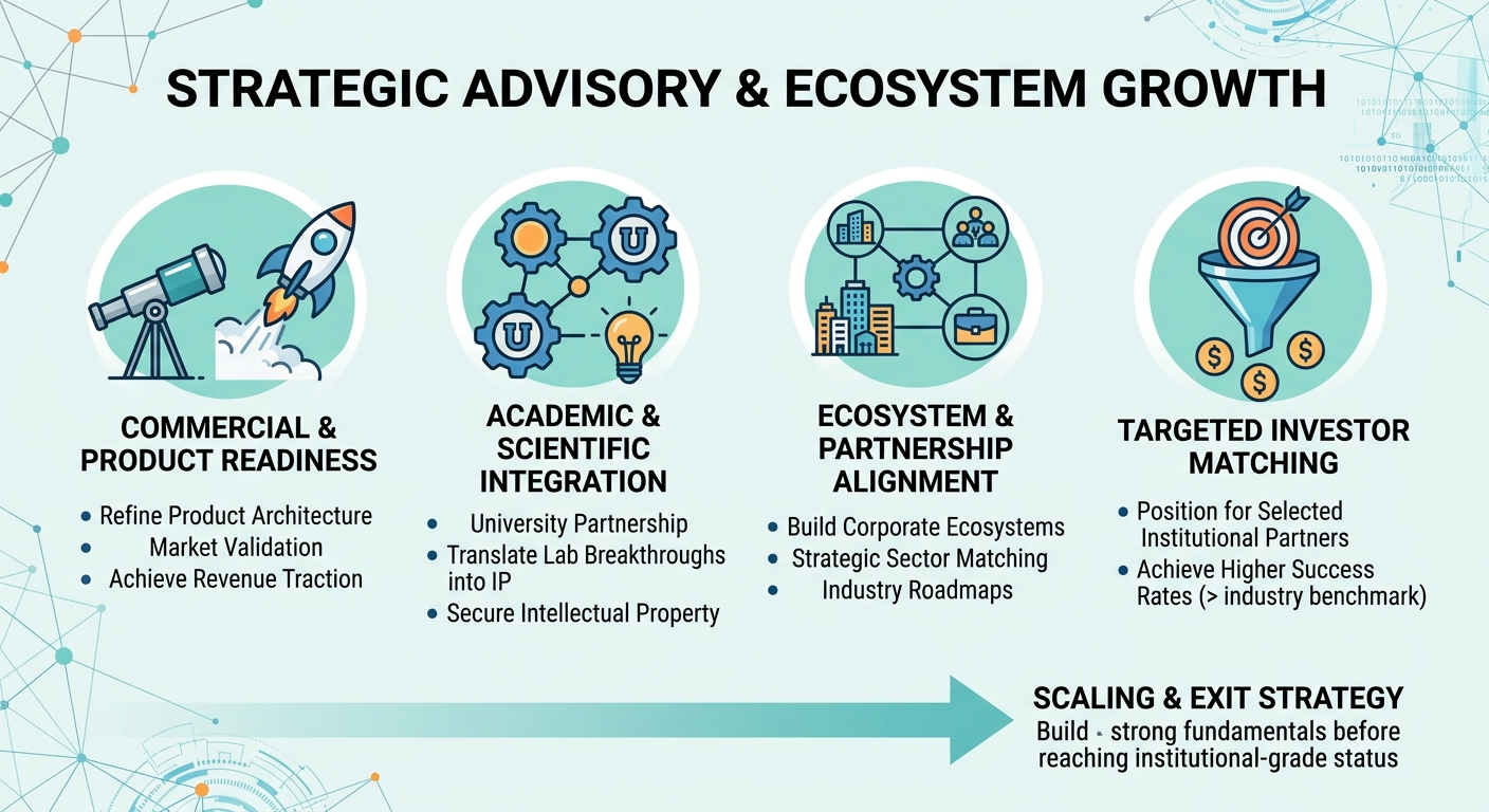 Strategic Advisory Beyond Traditional Venture Capital for Scale-Ups and Research Spin-Outs Chile